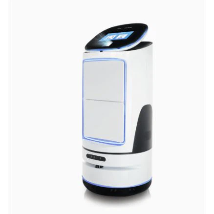 Robot tas-Servizz tal-Kamra